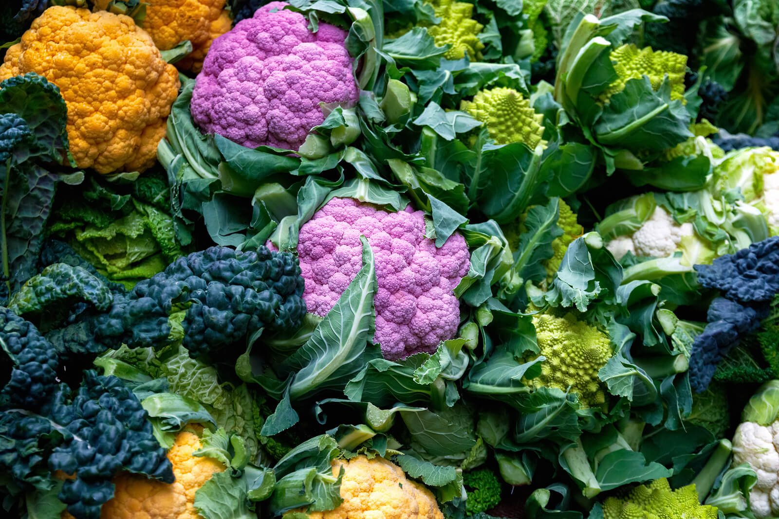 Broccoli vs. Cauliflower: Which Should You Choose for Health?