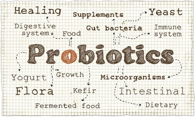 what-are-probiotics